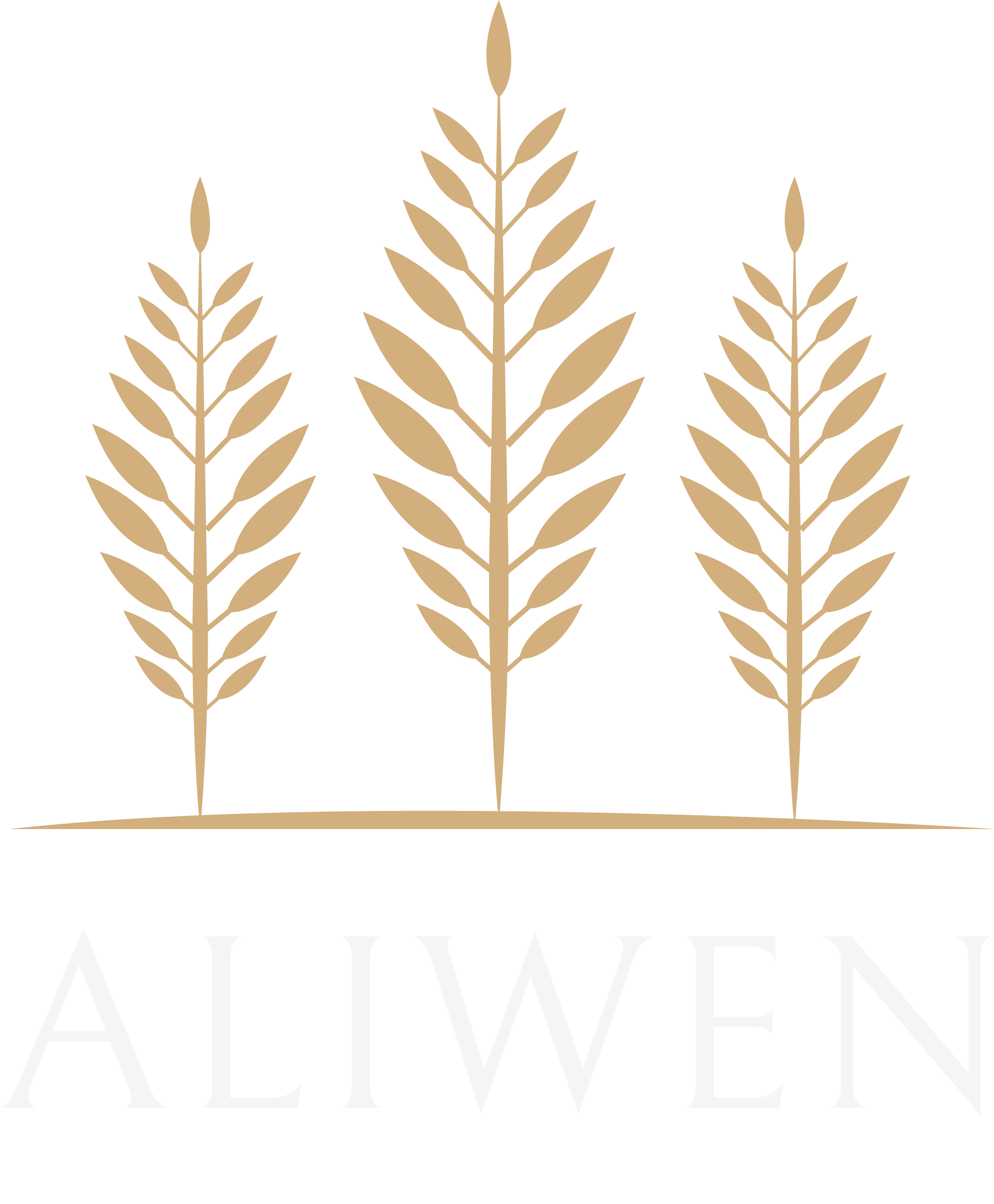 Aliwen Villa La Angostura